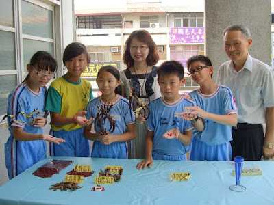 探索相思豆，小小科學家勤考證